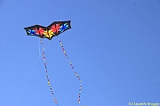 32 FESTIVAL CERVIA 2012 - 183